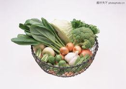四季蔬果0136 四季蔬果图 水果食品图库