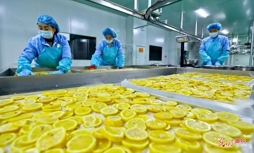 果蔬产业精深加工 锻造农特产品的金色链条