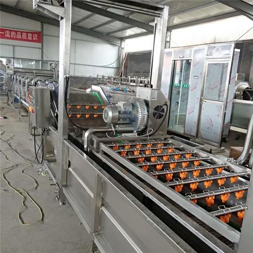 冲浴式大型洗菜机与果蔬气泡清洗机 厂家直销，货源保障的果蔬加工利器